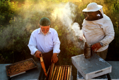 4. TARIM VE İNSAN FOTOĞRAF YARIŞMASI - Mustafa GİCE