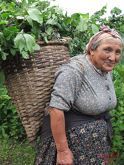 4. TARIM VE İNSAN FOTOĞRAF YARIŞMASI - Mustafa TAŞKESEN