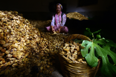4. TARIM VE İNSAN FOTOĞRAF YARIŞMASI - Nadire GÜNDAY