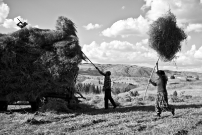 4. TARIM VE İNSAN FOTOĞRAF YARIŞMASI - Nazik Nazan KÖSE