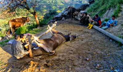 4. TARIM VE İNSAN FOTOĞRAF YARIŞMASI - Özgün ATİLLA