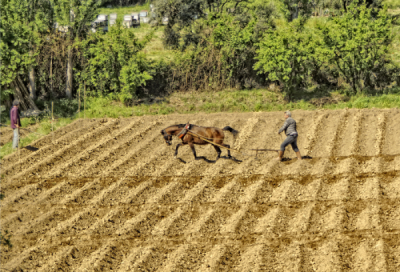4. TARIM VE İNSAN FOTOĞRAF YARIŞMASI - Özgün ATİLLA