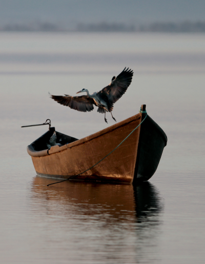 4. TARIM VE İNSAN FOTOĞRAF YARIŞMASI - Resul GÜMÜŞ