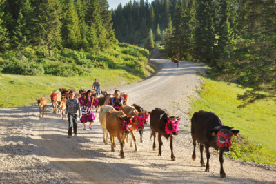 4. TARIM VE İNSAN FOTOĞRAF YARIŞMASI - Sabri ALTIN