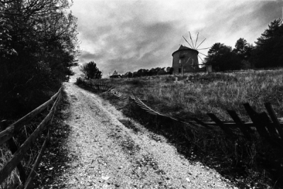 4. TARIM VE İNSAN FOTOĞRAF YARIŞMASI - Şadan GENÇ