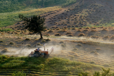 4. TARIM VE İNSAN FOTOĞRAF YARIŞMASI - Şahin ERYAMAN
