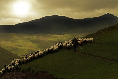 4. TARIM VE İNSAN FOTOĞRAF YARIŞMASI - Şenol ERDENER