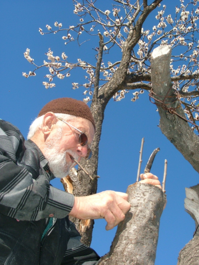 4. TARIM VE İNSAN FOTOĞRAF YARIŞMASI - Şenol ERDENER