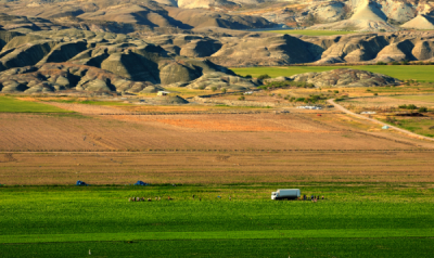 4. TARIM VE İNSAN FOTOĞRAF YARIŞMASI - Serdar ŞEKER