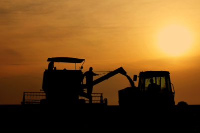 4. TARIM VE İNSAN FOTOĞRAF YARIŞMASI - Servet ÇINAR