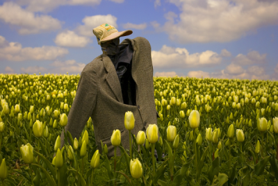 4. TARIM VE İNSAN FOTOĞRAF YARIŞMASI - Sibel KOCAMAN