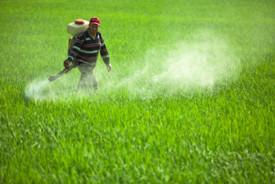 4. TARIM VE İNSAN FOTOĞRAF YARIŞMASI - Turgay GÜNDOĞDU