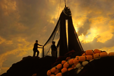 4. TARIM VE İNSAN FOTOĞRAF YARIŞMASI - Ümmü KANDİLCİOĞLU