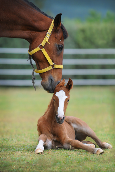 4. TARIM VE İNSAN FOTOĞRAF YARIŞMASI - Kadir ÇİVİCİ