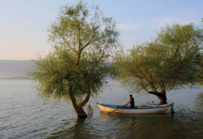 5. TARIM VE İNSAN FOTOĞRAF YARIŞMASI - Şerife CENGİZ