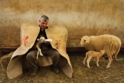 5. TARIM VE İNSAN FOTOĞRAF YARIŞMASI - Seyit KONYALI