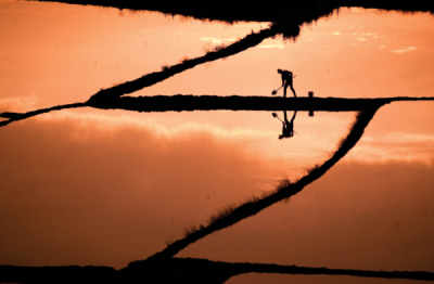 5. TARIM VE İNSAN FOTOĞRAF YARIŞMASI - Kemal ÖZKILIÇ