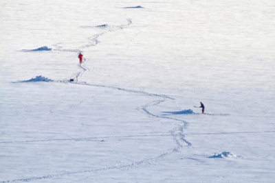 5. TARIM VE İNSAN FOTOĞRAF YARIŞMASI - Murat KAYA