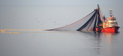 5. TARIM VE İNSAN FOTOĞRAF YARIŞMASI - İlhan TURAN