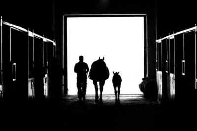 5. TARIM VE İNSAN FOTOĞRAF YARIŞMASI - Abit KULLEBİ