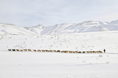 5. TARIM VE İNSAN FOTOĞRAF YARIŞMASI - Ahmet Fatih SÖNMEZ