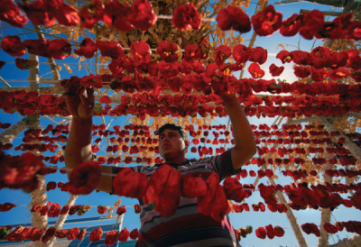 5. TARIM VE İNSAN FOTOĞRAF YARIŞMASI - Ahmet Turan KURAL 