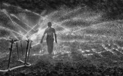 5. TARIM VE İNSAN FOTOĞRAF YARIŞMASI - Ahmet Turan KURAL 