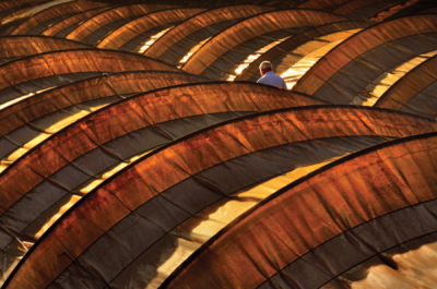 5. TARIM VE İNSAN FOTOĞRAF YARIŞMASI - Ahmet TÜLÜCE 