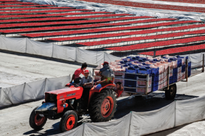 5. TARIM VE İNSAN FOTOĞRAF YARIŞMASI - Alahattin KANLIOĞLU