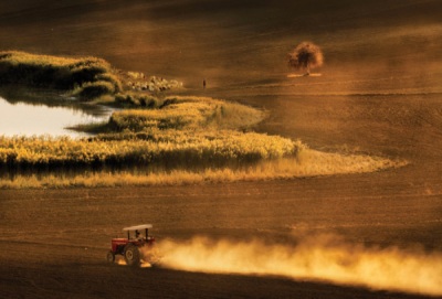 5. TARIM VE İNSAN FOTOĞRAF YARIŞMASI - Ali Haydar CEYLAN 