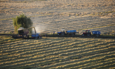 5. TARIM VE İNSAN FOTOĞRAF YARIŞMASI - Ali KUYULU 