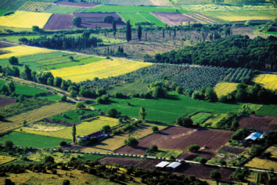 5. TARIM VE İNSAN FOTOĞRAF YARIŞMASI - Arda Adnan KALKAN 