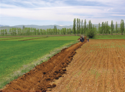 5. TARIM VE İNSAN FOTOĞRAF YARIŞMASI - Aytaç ÖZCAN