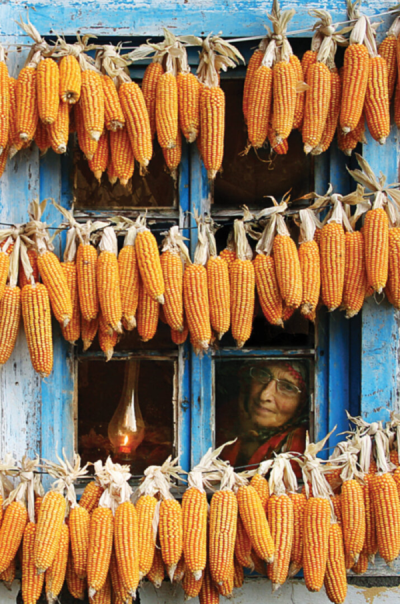 5. TARIM VE İNSAN FOTOĞRAF YARIŞMASI - Aytaç ÖZCAN