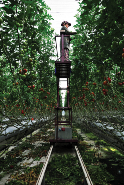 5. TARIM VE İNSAN FOTOĞRAF YARIŞMASI - Aytunç İNCE 