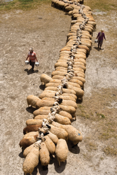 5. TARIM VE İNSAN FOTOĞRAF YARIŞMASI - Celal GEZİCİ