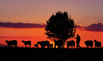 5. TARIM VE İNSAN FOTOĞRAF YARIŞMASI - Emre BOSTANOĞLU