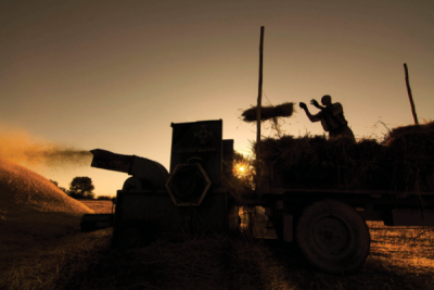 5. TARIM VE İNSAN FOTOĞRAF YARIŞMASI - Ender PEKŞEN 