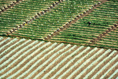 5. TARIM VE İNSAN FOTOĞRAF YARIŞMASI - Eray ELİGÜL