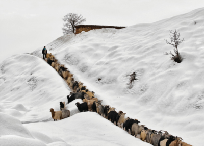 5. TARIM VE İNSAN FOTOĞRAF YARIŞMASI - Erdal YAVUZAK