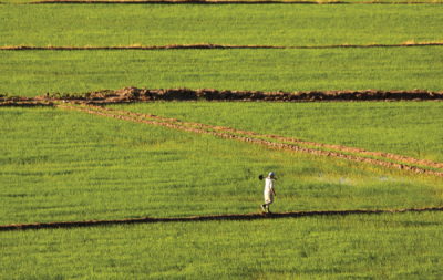 5. TARIM VE İNSAN FOTOĞRAF YARIŞMASI - Fatma DEMİR