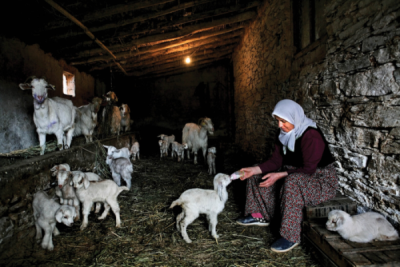 5. TARIM VE İNSAN FOTOĞRAF YARIŞMASI - Gökalp BİLİCİ