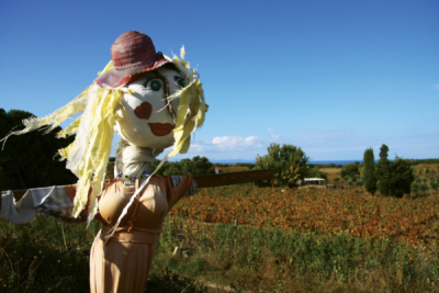 5. TARIM VE İNSAN FOTOĞRAF YARIŞMASI - Güliz ÜNLÜ