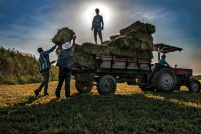 5. TARIM VE İNSAN FOTOĞRAF YARIŞMASI - Hakan ÇÖPLÜ