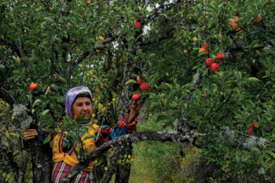 5. TARIM VE İNSAN FOTOĞRAF YARIŞMASI - Hakan TOKUÇ