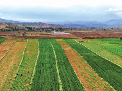 5. TARIM VE İNSAN FOTOĞRAF YARIŞMASI - Hakan USLU