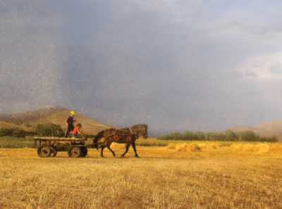 5. TARIM VE İNSAN FOTOĞRAF YARIŞMASI - Hasan AYDIN