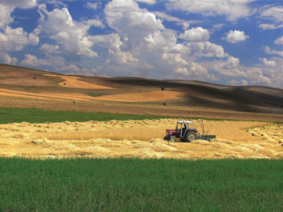 5. TARIM VE İNSAN FOTOĞRAF YARIŞMASI - Hasan AYDIN