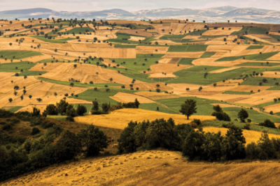 5. TARIM VE İNSAN FOTOĞRAF YARIŞMASI - Ender PEKŞEN 