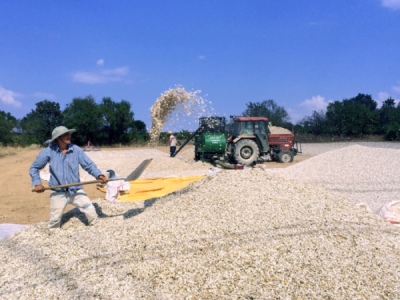 6. TARIM VE İNSAN FOTOĞRAF YARIŞMASI - Hüseyin UYSAL